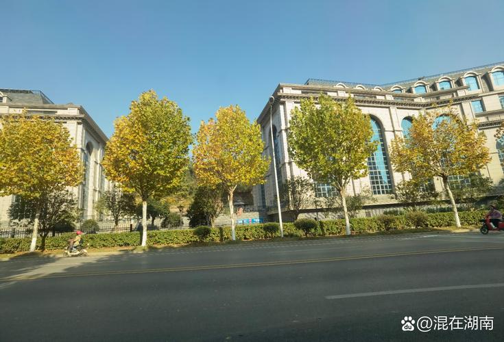 山西康华医学专修学院怎么样？-图2