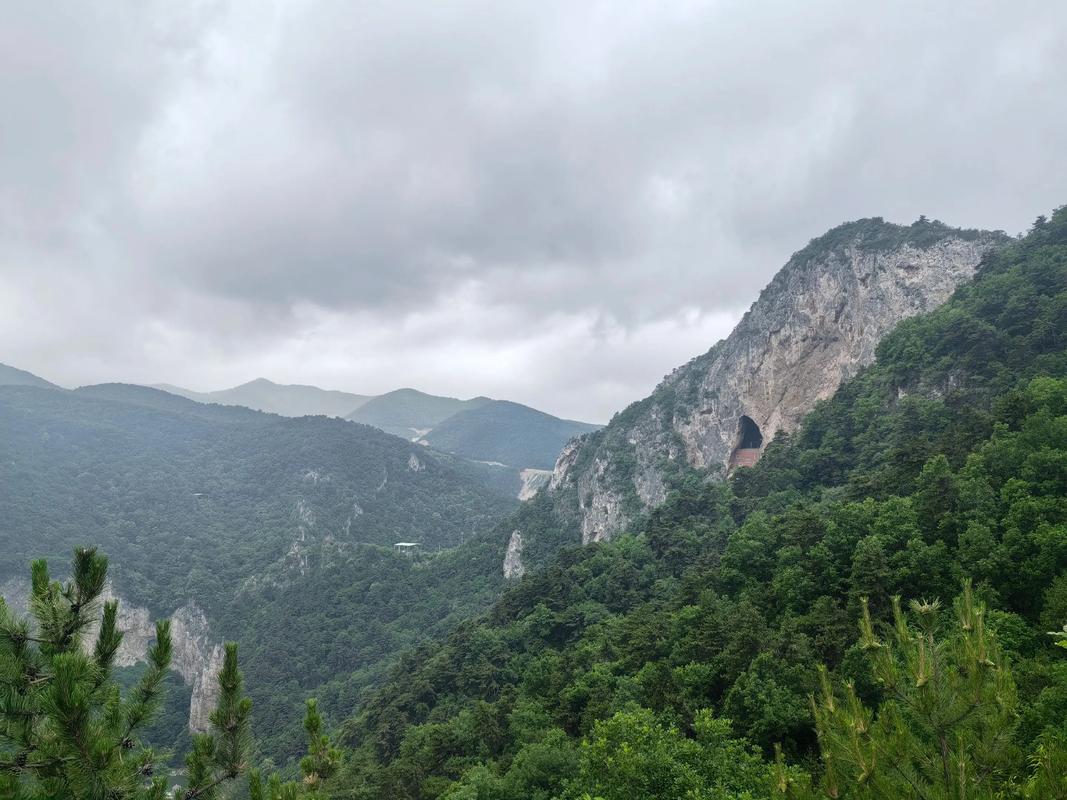 山西龙泉国家森林公园有何独特魅力？-图1