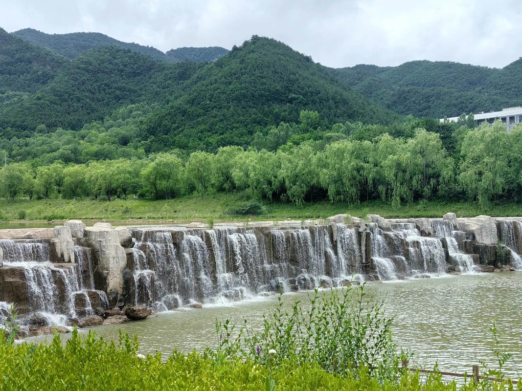 山西龙泉国家森林公园有何独特魅力？-图3