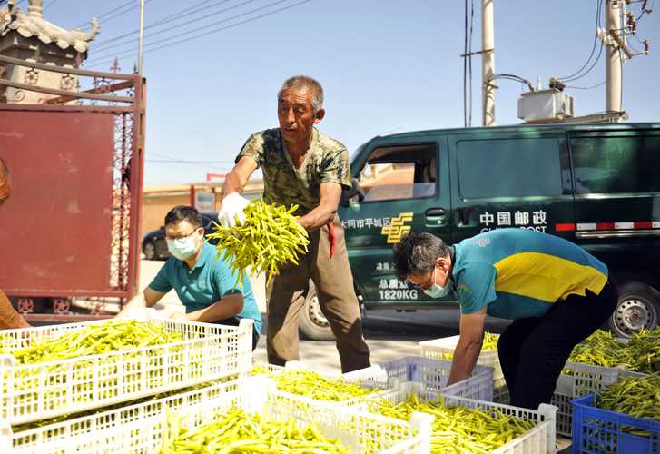 山西邮政笔试视频考什么内容？-图2