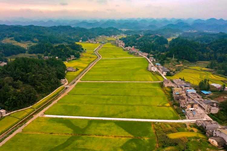 农村投资啥项目靠谱？-图1