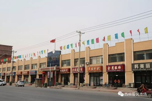 鞍山西柳服装批发市场有何特色？-图3