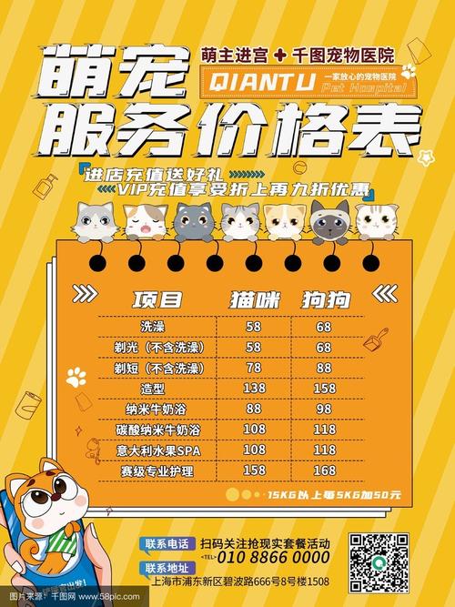 开宠物店要投多少钱？-图2