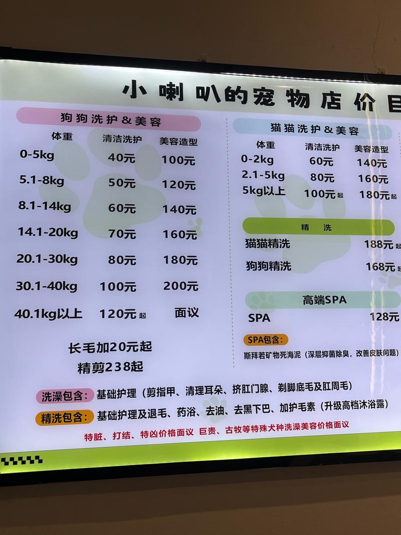 开宠物店要投多少钱？-图3