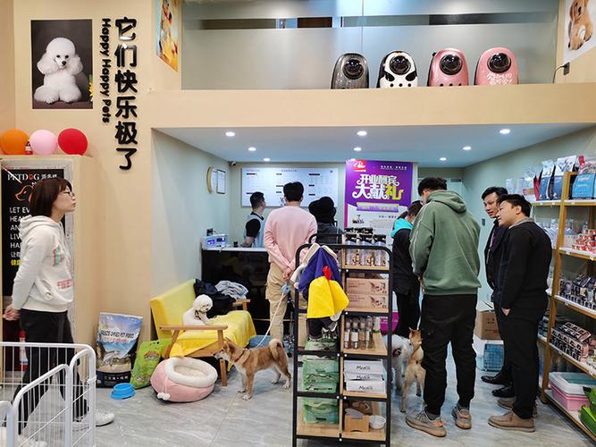开宠物店究竟要准备多少资金？-图2