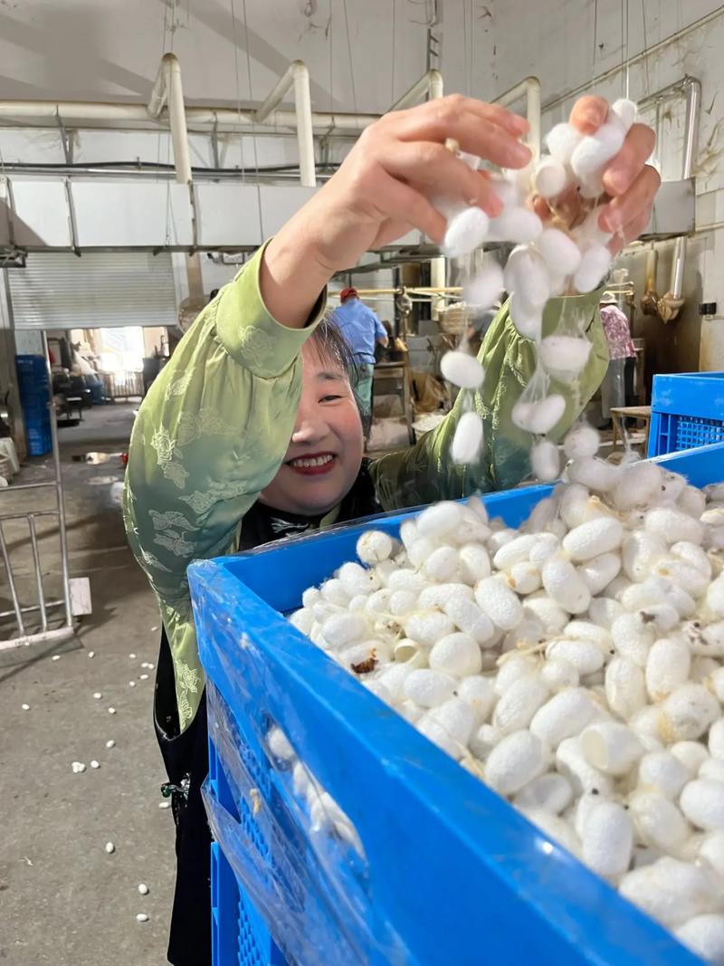 开一家蚕丝被厂要投多少钱？-图1