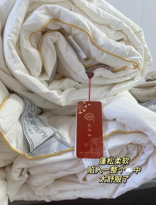 开一家蚕丝被厂要投多少钱？-图2