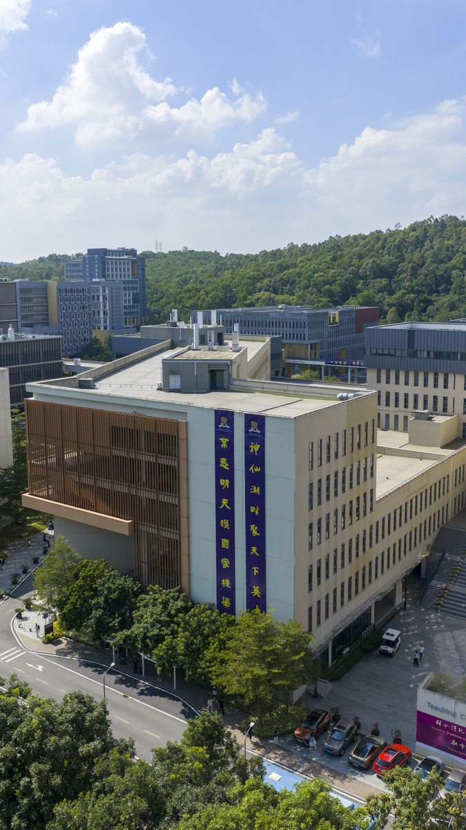 深圳龙宫投资有限公司是做什么的？-图2