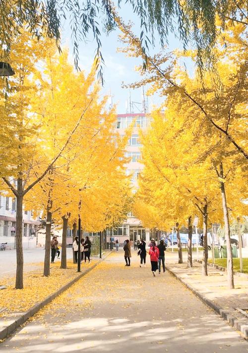 山西林业职业技术学校有何特色？-图2