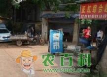 现今无本投资真能致富吗？-图1